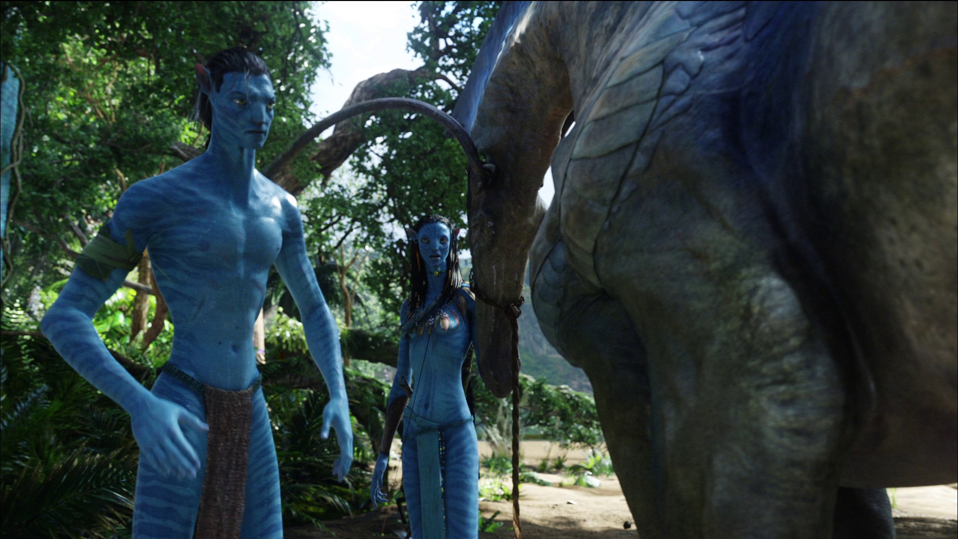 Photo from Avatar Film